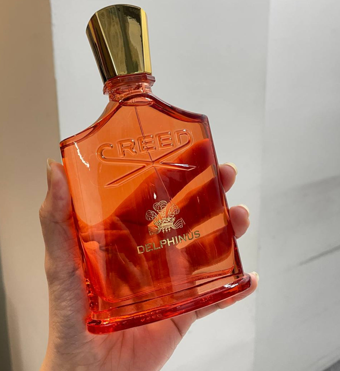 Creed Delphinus Eau de Parfum (100ml) – 100% Authentic | Unisex Perfume