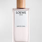 Loewe Agua Mar De Coral EDT 100ml - 100% Authentic | Unisex Perfume