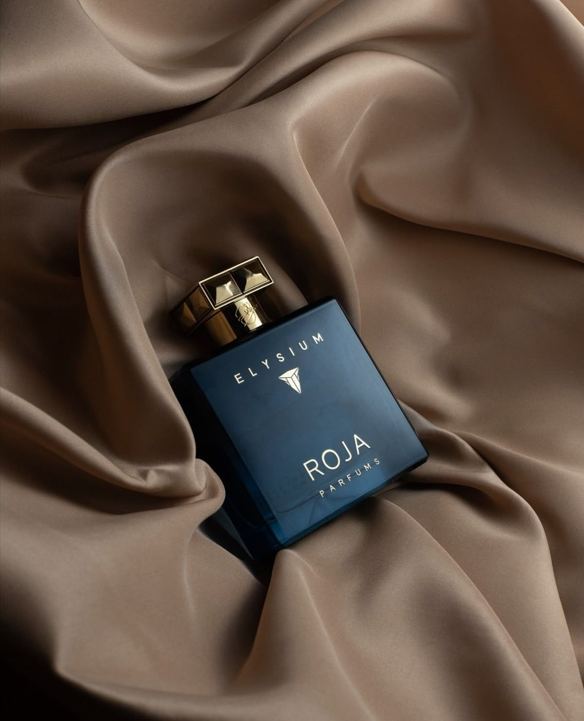 Roja Parfums Elysium Pour Homme Eau de Parfum (100ml) – 100% Authentic | Men’s Perfume